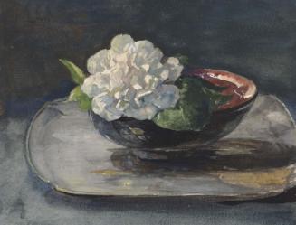 White Camellia in a Red and Black Lacquer Bowl