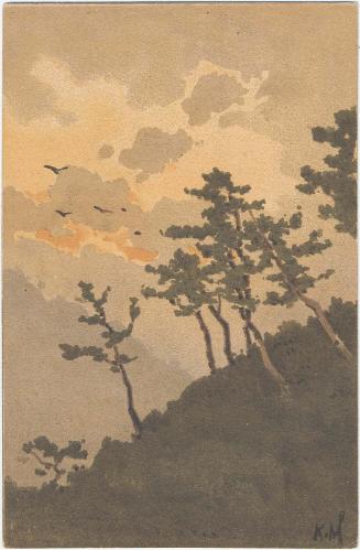 The Evening Sky