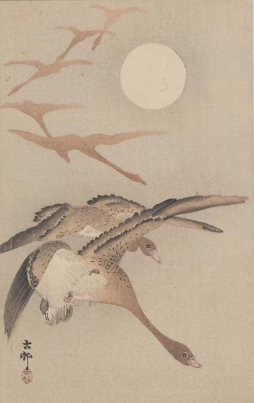 Wild Geese