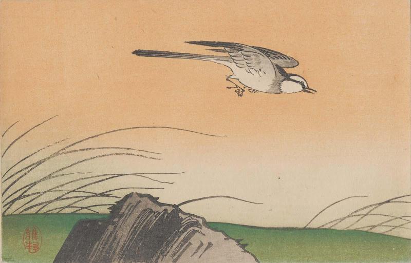 Swallow (from an unidentified series)