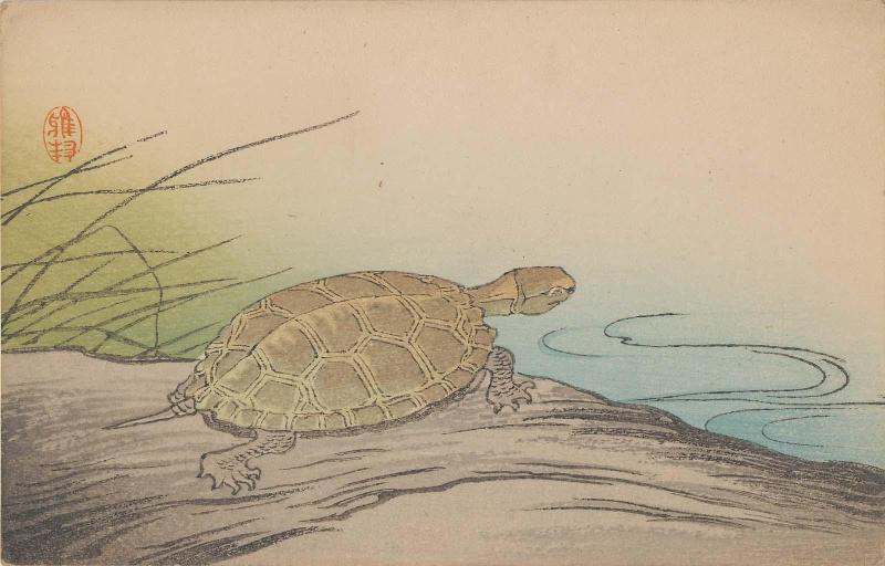 Turtle by a Pond (from an unidentified series)