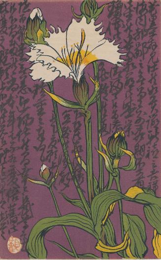 Postcard of a flower with purple background