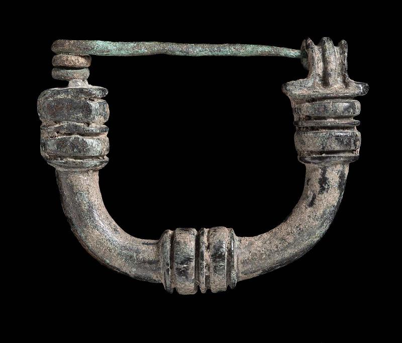 Fibula