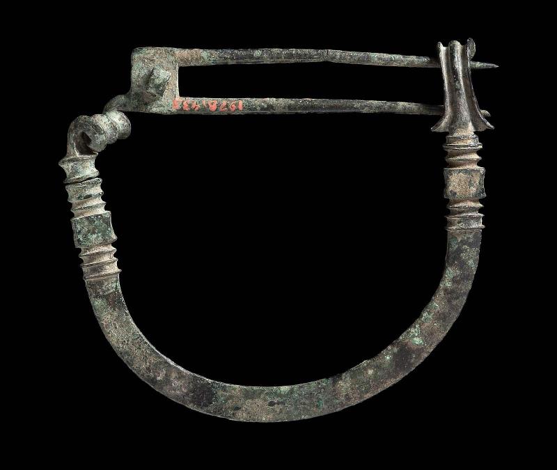 Bronze fibula