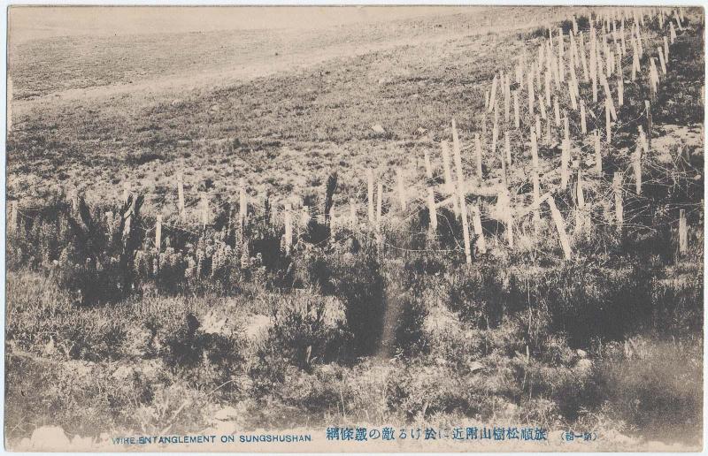 Wire Entanglement on Sungshushan, the First Issue, (from an unidentified series)