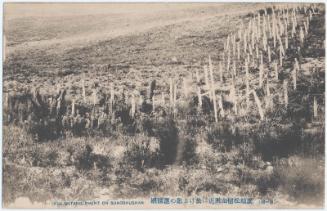 Wire Entanglement on Sungshushan, the First Issue, (from an unidentified series)