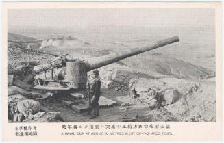 A Naval Gun at about Fifty Meters West of Mount Fuji-Shaped- Fort