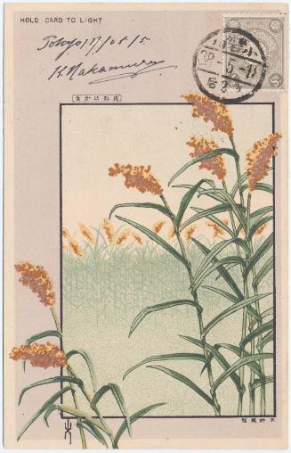 Hold-to-light Card: Soldiers among Tall Plants