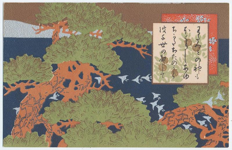 Pine Trees and Plovers