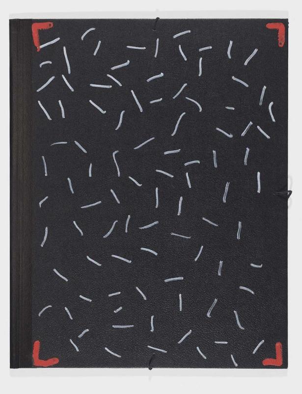 The Elements Matter: Portfolio cover