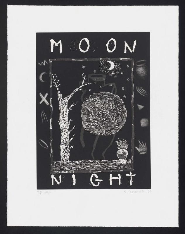 MOON NIGHT from the portfolio, The Elements Matter