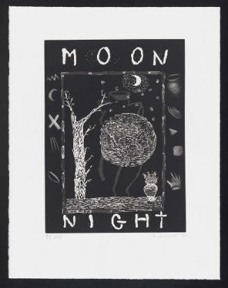 MOON NIGHT from the portfolio, The Elements Matter