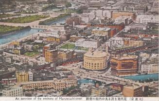 An Aerial View of the Environs of Marunouchi-street
