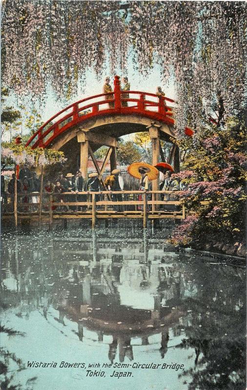 Wisteria Bowers with the Semi-Circular Bridge, Tokyo, Japan, from the Valentine Series