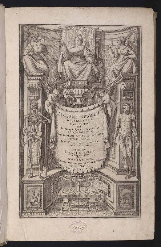 View: First title page