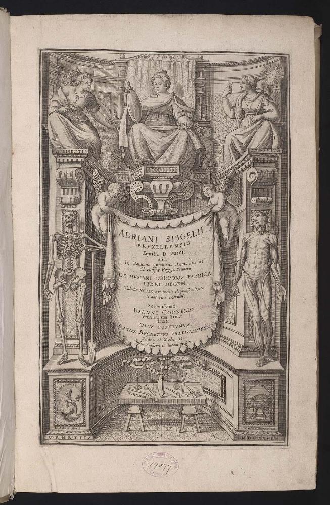 View: First title page