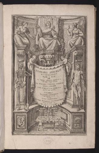 View: First title page
