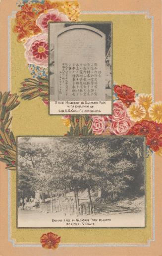 Banyan Tree in Nagasaki Park Planted By Gen. U.S. Grant