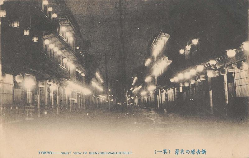Night View of Shinyoshiwara Street