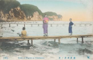 (267) Town of Negishi at Yokohama (from an unidentified series)