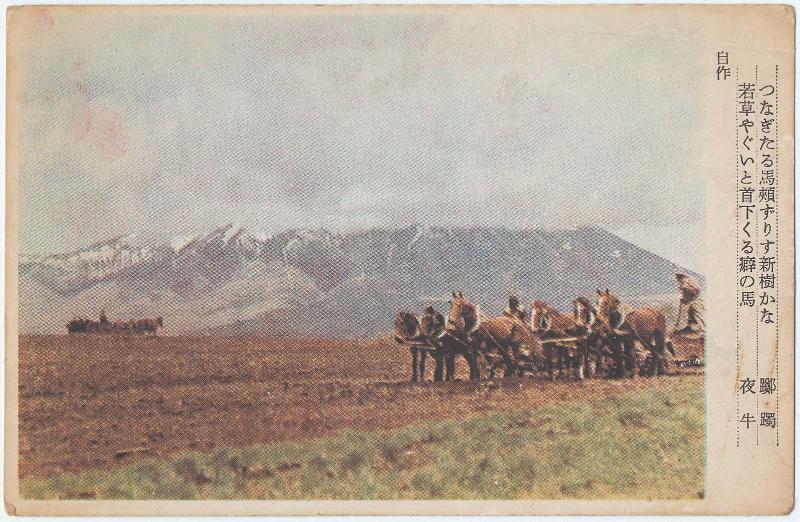 Cultivating Fields
