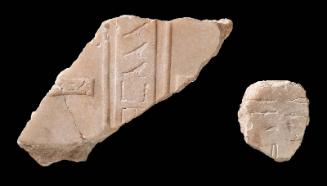 Group shot: 11.716, 11.716c