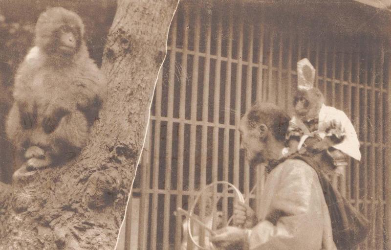 Monkey and Trainer
