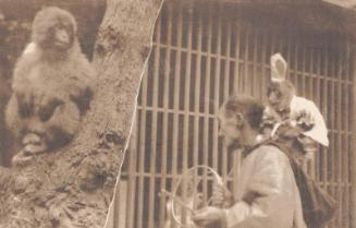 Monkey and Trainer