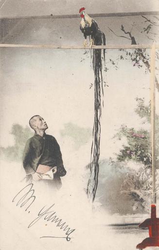 Man Looking up to a Long-tailed Rooster