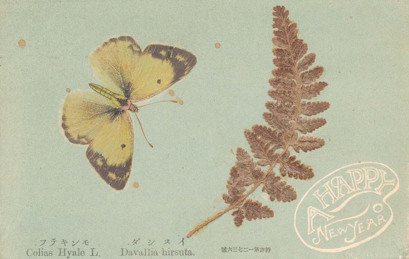 New Year's Card: Butterfly and Fern