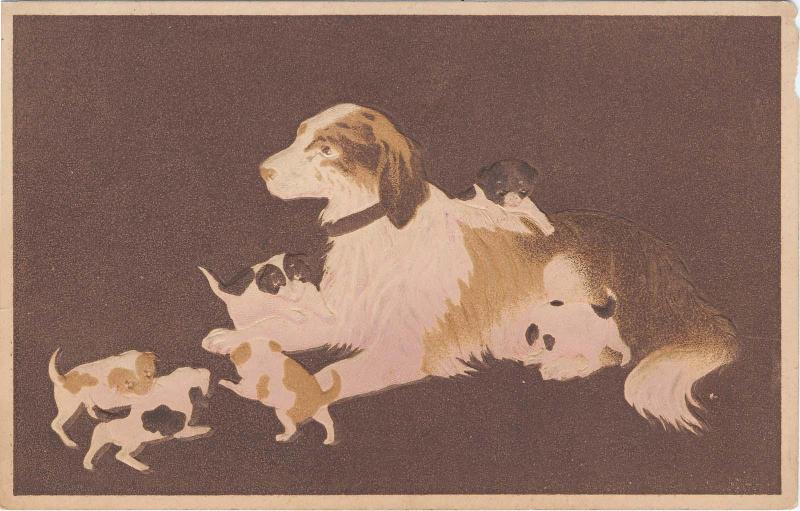 New Year's Card: Dog Family