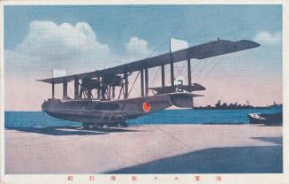 Navy Plane F