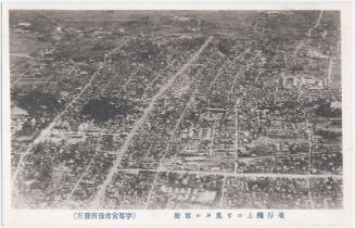 The View of Utsunomiya City from Above