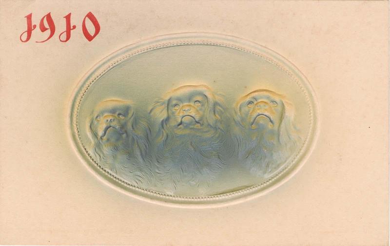New Year's Card: Three Dogs