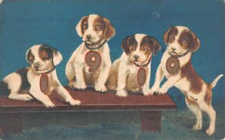 New Year's Card: Puppies