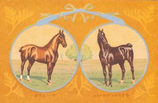 Horses: Walden Victor and Sir Edgar