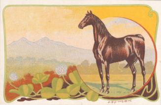 Portrait of the Horse Peroration