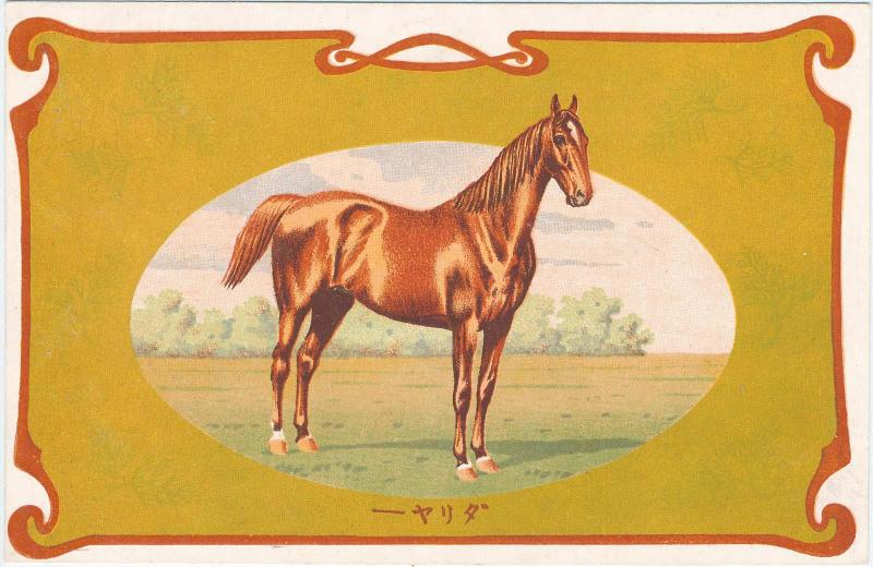 Portrait of the Horse Dahlia