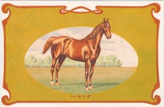 Portrait of the Horse Dahlia
