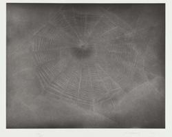 Untitled (Web 3)