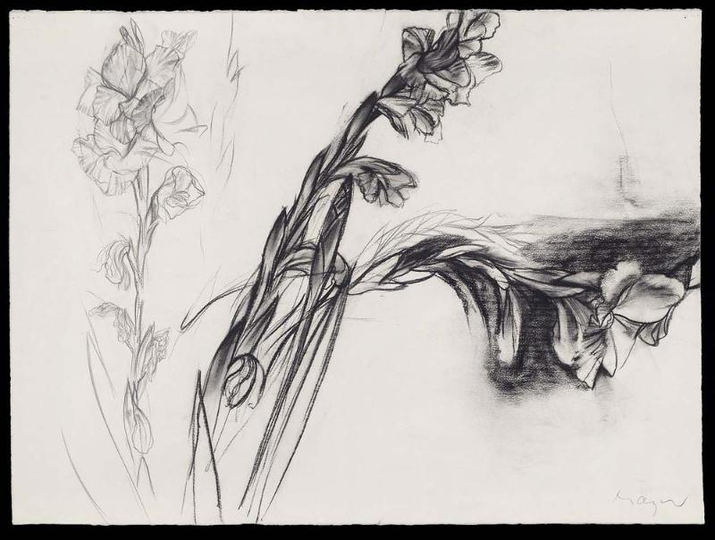 Gladiolas