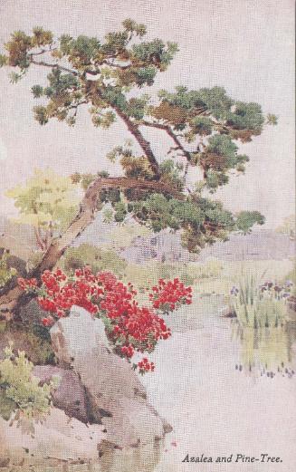 Azalea and Pine-Tree, from the series Flowers and Gardens of Japan by Ella Du Cane, in Japan Series No.35