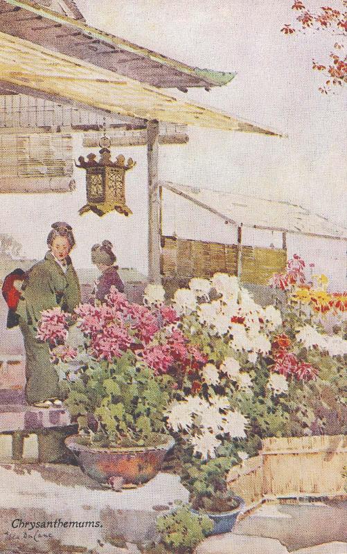 Chrysanthemums, from the series Flowers and Gardens of Japan by Ella Du Cane, in Japan Series No.35