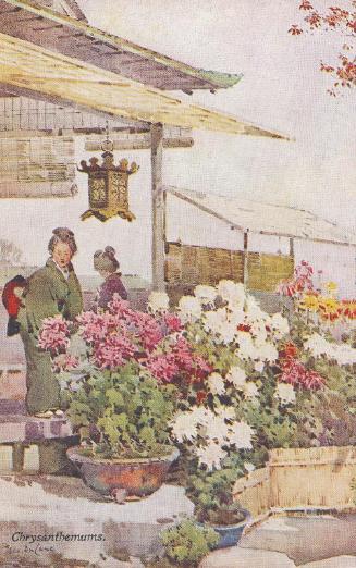 Chrysanthemums, from the series Flowers and Gardens of Japan by Ella Du Cane, in Japan Series No.35
