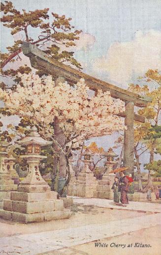 White Cherry at Kitano, from the series Flowers and Gardens of Japan by Ella Du Cane, in Japan Series No.35