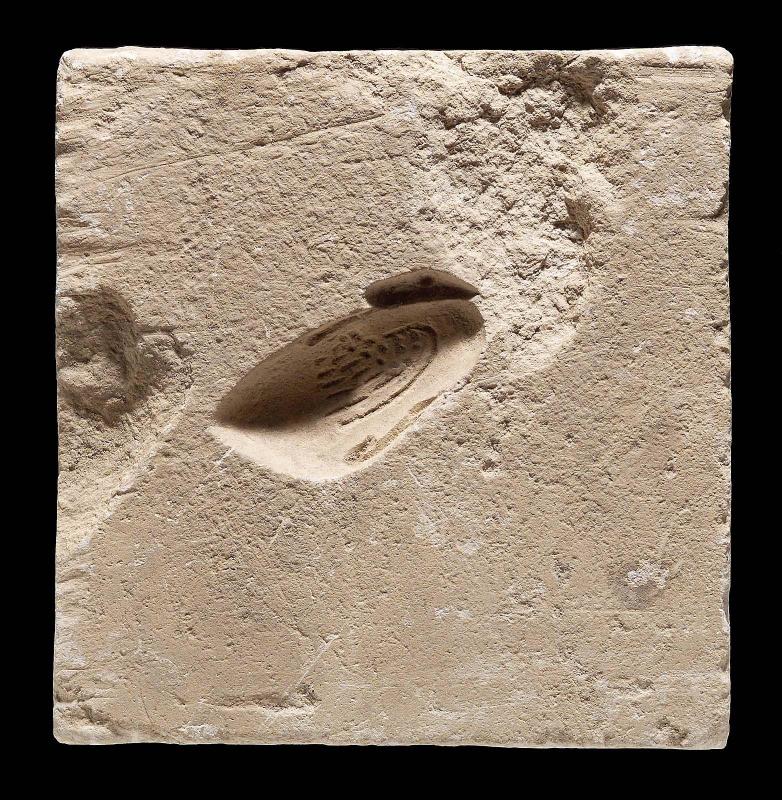Mold of a heron or phoenix