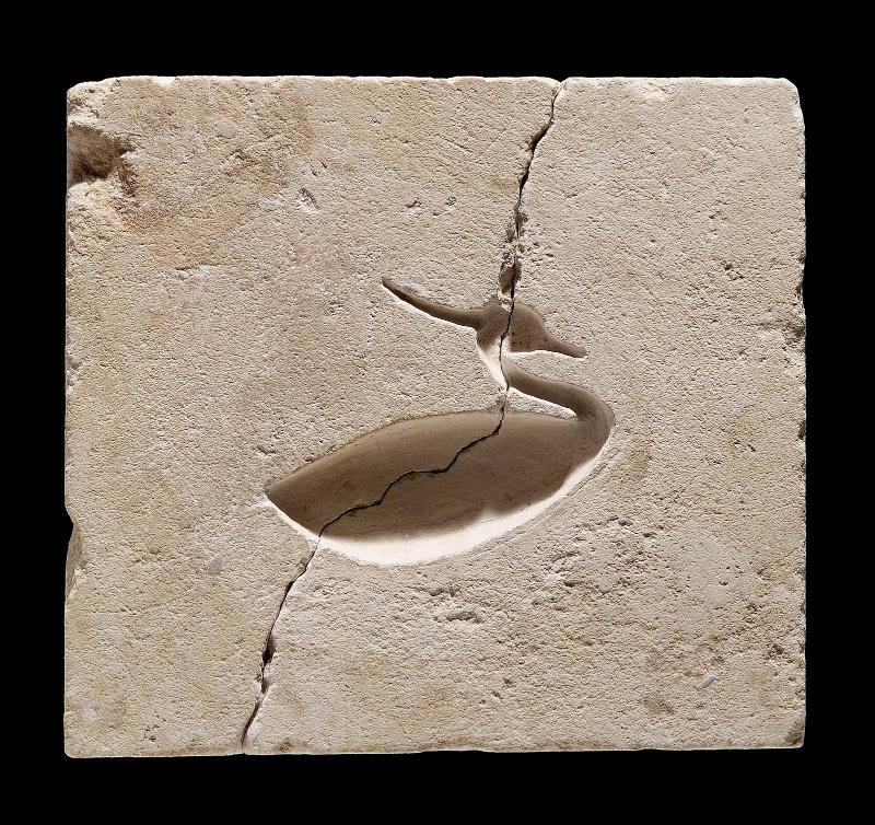Mold of a heron or phoenix