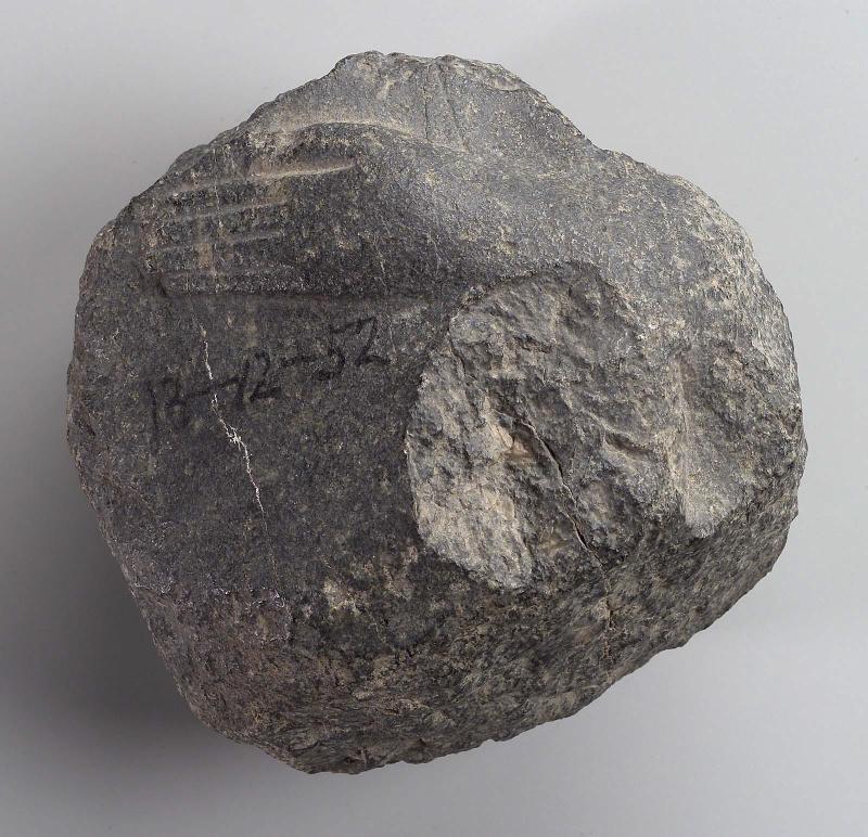 Torso fragment