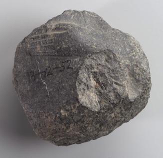 Torso fragment