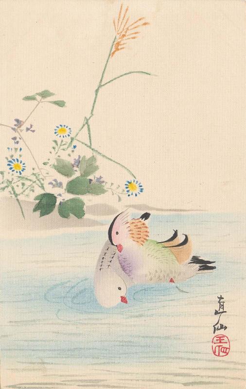 Mandarin Ducks
